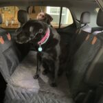 PawLounge Pro™ – Deluxe Back Seat Travel Bed for Dogs photo review