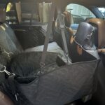 PawLounge Pro™ – Deluxe Back Seat Travel Bed for Dogs photo review
