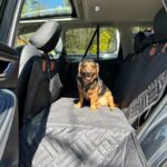 PawLounge Pro™ – Deluxe Back Seat Travel Bed for Dogs photo review