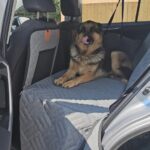 PawLounge Pro™ – Deluxe Back Seat Travel Bed for Dogs photo review