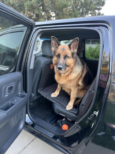PawLounge Pro™ – Deluxe Back Seat Travel Bed for Dogs photo review