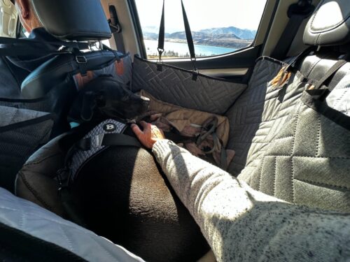PawLounge Pro™ – Deluxe Back Seat Travel Bed for Dogs photo review