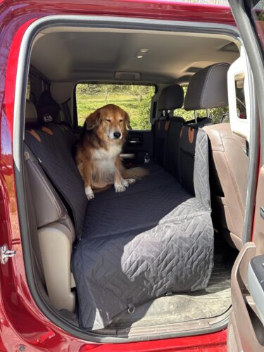 PawLounge Pro™ – Deluxe Back Seat Travel Bed for Dogs photo review