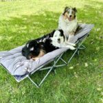 UltraComfort XL Camping Cot – Heavy-Duty Folding Bed with Padded Mattress & 600lb Capacity photo review
